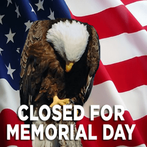 MEMORIALDAY2014witheagleflag